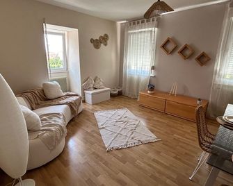 Le petit logelbach - Colmar - Sala de estar