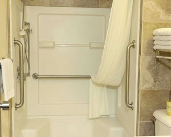 Northern Lights Inn Rugby - Rugby - Bathroom