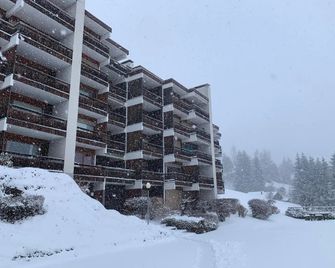 Les Dents du Midi A10 - Leysin - Building
