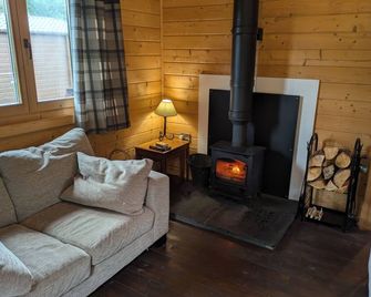 Pet Friendly - Lodge at Riverview Holiday Park - Newcastleton - Wohnzimmer