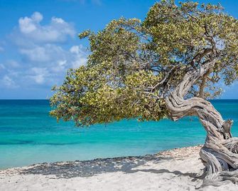 Bluegreen at La Cabana Beach Resort & Casino - Oranjestad - Beach