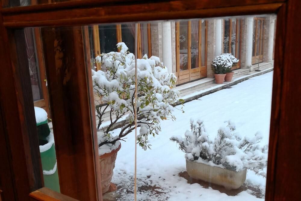 دوموس شيليوتا