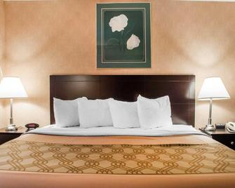 Woodstock Inn and Suites - Woodstock - Slaapkamer