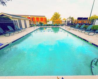 Wingate by Wyndham St. Louis/Fenton Route 66 - Fenton - Pool