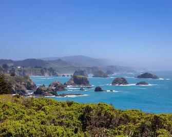 Oceanfront Vacation Home - Spectacular Views; Hot Tub; Wi-Fi. - Elk - Playa