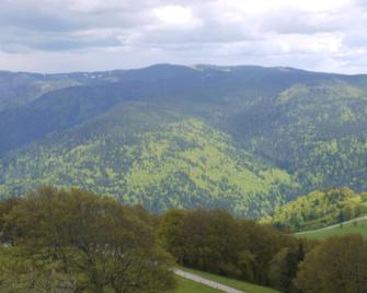 Attractive Apartment with Stunning Mountain Views - Sankt Blasien - Outdoors view