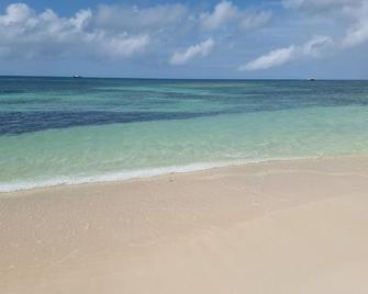 Harrys Cottages Cottage 5 right on the pink sand - Codrington - Beach