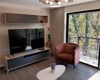 Amazing 2BR in Parque Espana - Mexico - Salon
