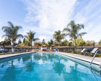 Tri-Valley Inn & Suites - Pleasanton - Pool