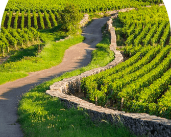 Saint Georges Hotel & Spa - Chalon-sur-Saône - Κτίριο