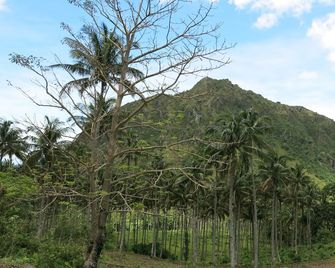 Camiguin Volcan Beach Eco Retreat & Dive Resort - Mambajao