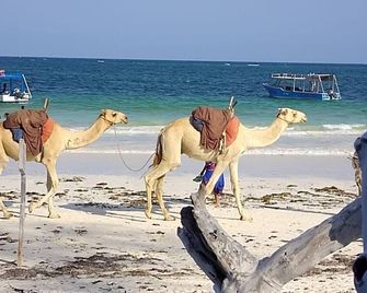 Manyatta Azure Boutique Hotel - Ukunda - Playa