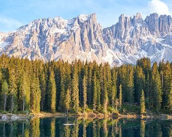 가르니 바졸레트 - 모에나