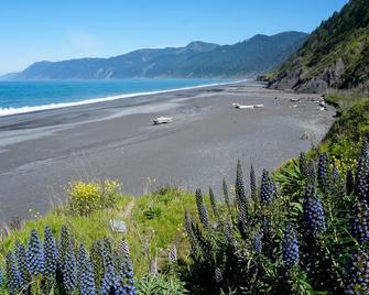 Lost Coast Hideaway - Shelter Cove - Beach