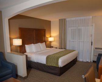 Comfort Inn & Suites Erie - Splash Lagoon Indoor Waterpark - Erie - Sovrum