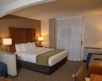 Comfort Inn & Suites Erie - Splash Lagoon Indoor Waterpark - ארי - חדר שינה