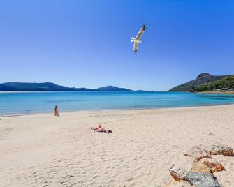 Pinnacle Apartments - Hamilton Island - Beach