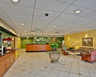 Magic Tree Resort - Celebration - Lobby