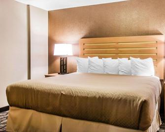 Quality Inn & Suites Warren - Detroit - Warren - Bedroom