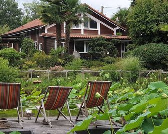 Charming studio in the heart of the pine forest - Soustons - Patio