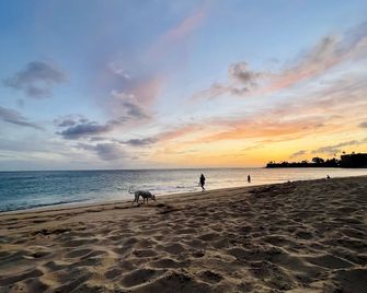 Bright Airy Condo in Makaha - 5 mins from the beach! - 懷厄奈 - 海灘