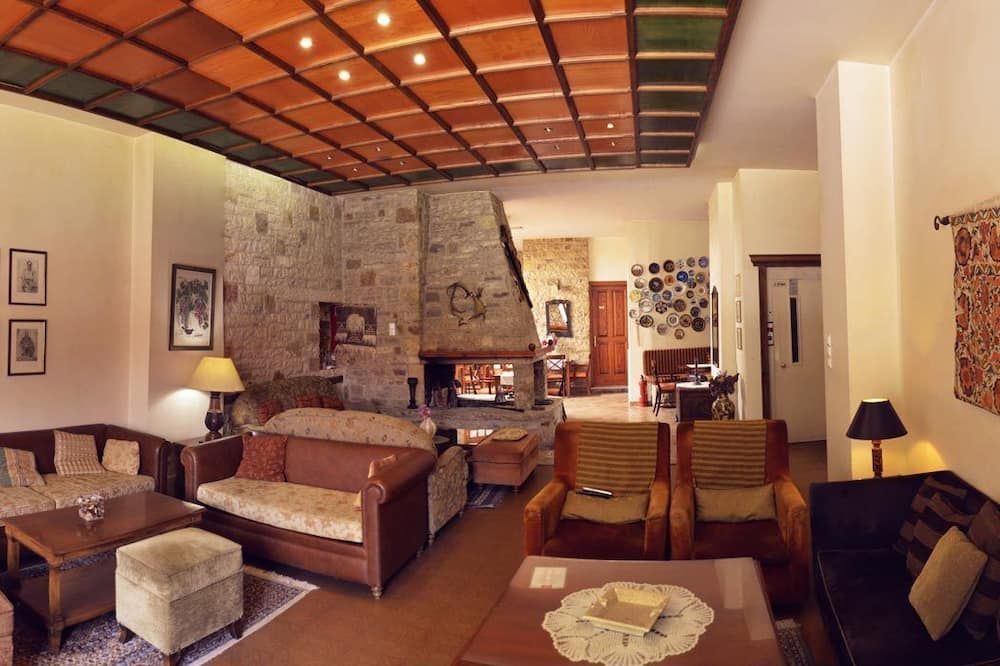 Hotel Elvetia - Karpenísi - Lounge