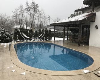 Villa Ozdilek - Sapanca - Pool
