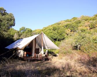 Quatermain's 1920's Safari Camp-Amakhala Game Reserve - Paterson - Patio