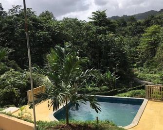 Tha Lagoon Spot - Port Antonio - Piscina