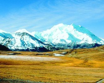 Denali Grizzly Bear Resort - Denali Park - Exterior