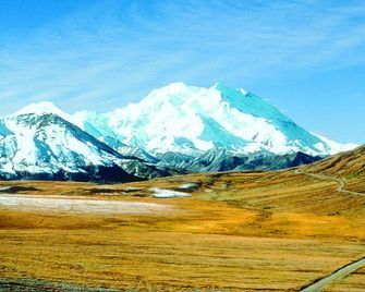 Denali Grizzly Bear Resort - Denali Park - נוף חיצוני