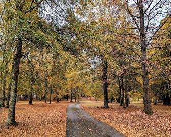 Athens area rental. Close to UGA, Monroe, Wedding venues, Antiques shopping. - Monroe - Outdoors view