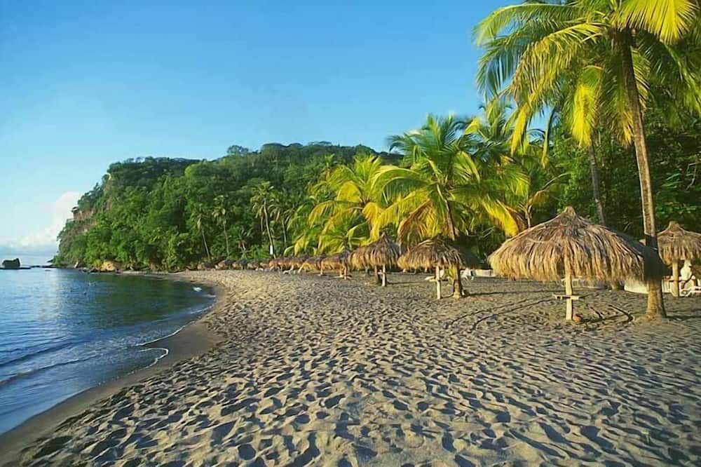 ذا ستيل بيتش هاوس