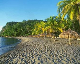 The Still Beach House - Soufrière - Strand