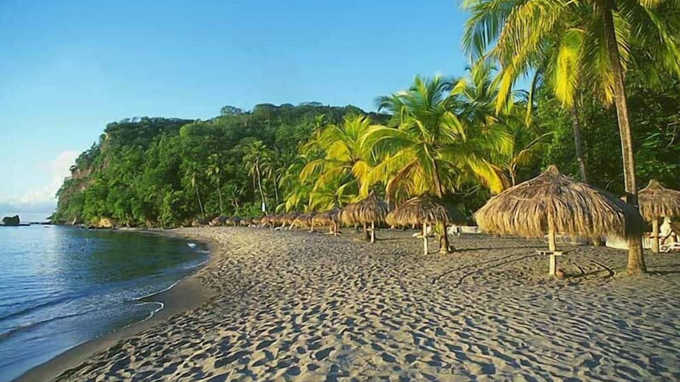 ذا ستيل بيتش هاوس