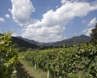 Podere Castel Merlo Resort - Villongo SantʼAlessandro - Widok na zewnątrz