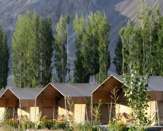 Highland Desert Camp - Hundar