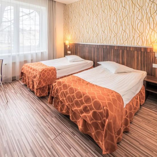 Rija Vef Hotel image 1
