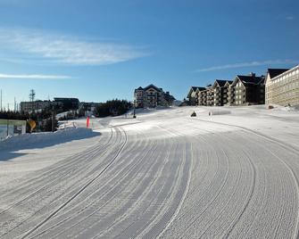 1Br: Expedition Station 308 - Snowshoe - Property amenity