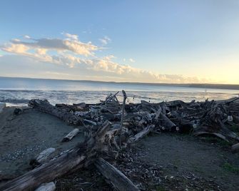 Camano Island Retreat - Camano Island - Beach