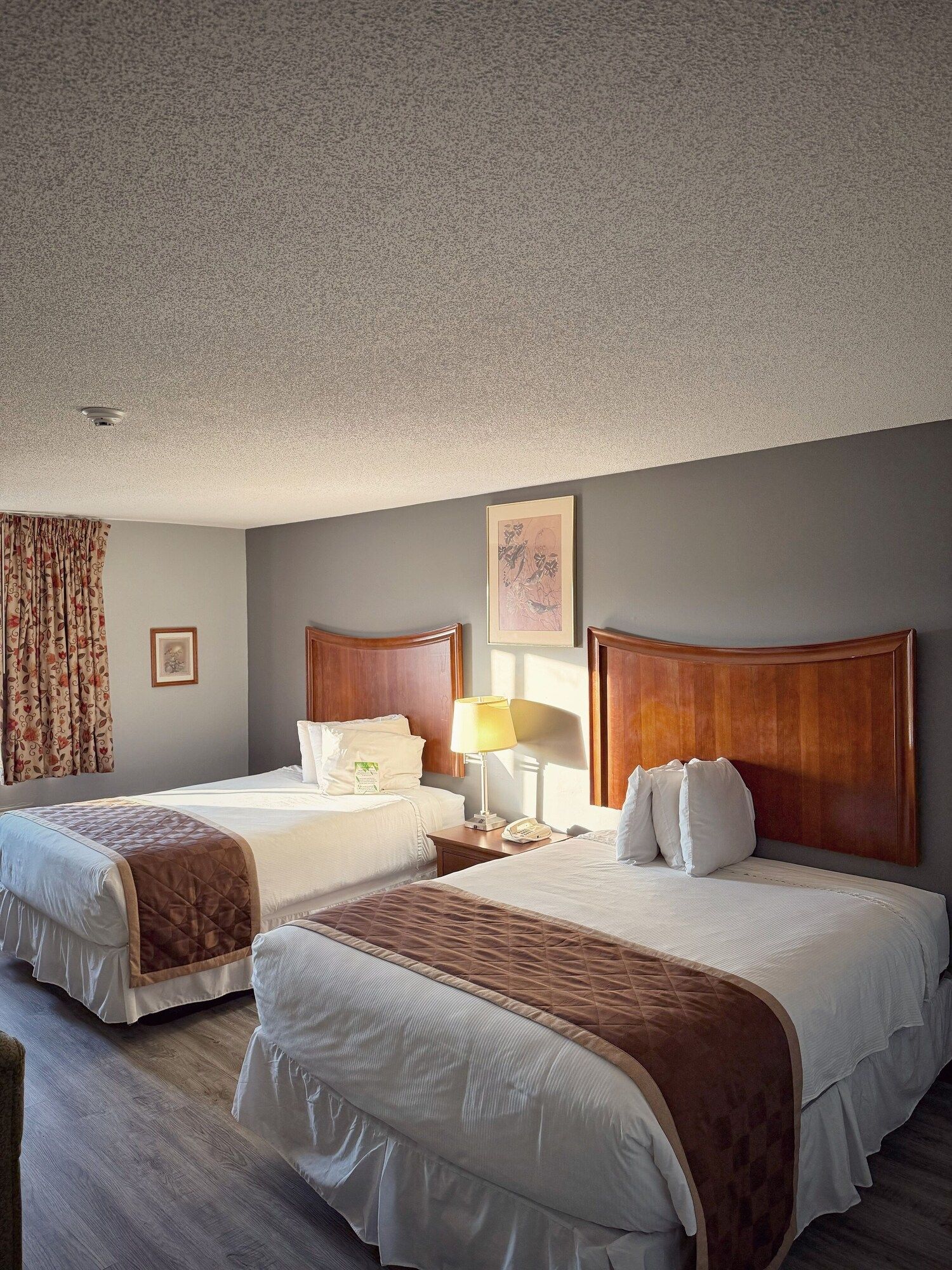 Laketree Inn And Suites Marion - Marion - Habitación
