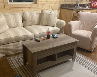 Winding road cabin screen front porch uncovered back porch - Cullowhee - Living room