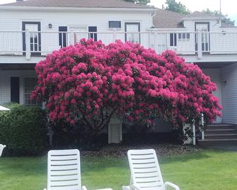 Shoreway Acres Inn & Cape Cod Lodging - Falmouth - Patio