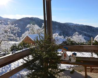 Apartment Wiesenblick double room - Glottertal - Balkon