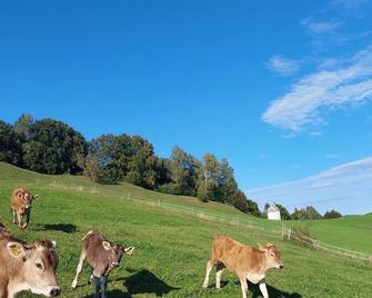 Wörle, Ferienhof - Halblech