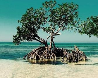 Casa Las Españolas - Viñales - Playa