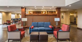 Comfort Suites - Dodge City - Dodge City - Area lounge