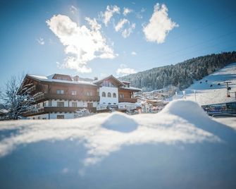 فندق ألبينس غورميه مونتانارا - فلاشاو - مبنى
