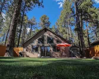 Beautiful Wooded Dream Cabin Backs Forest - Flagstaff - Building