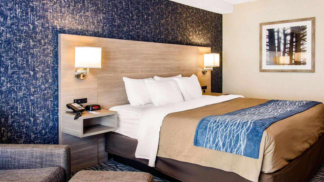 كومفرت إن إيربورت